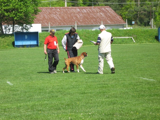 www.atibox.net * www.euroboxer.eu * www.boxergenealogia.eu